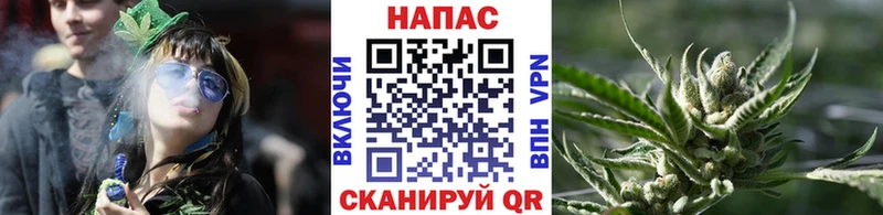 Каннабис конопля Чаплыгин
